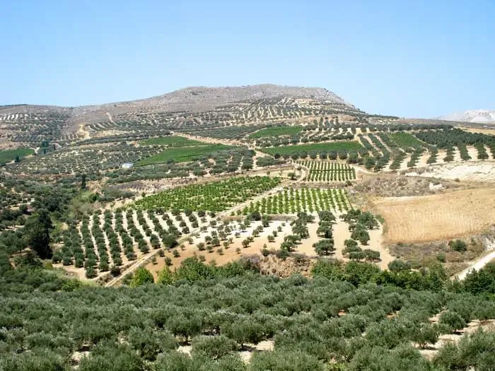 Valley-picture-(1)