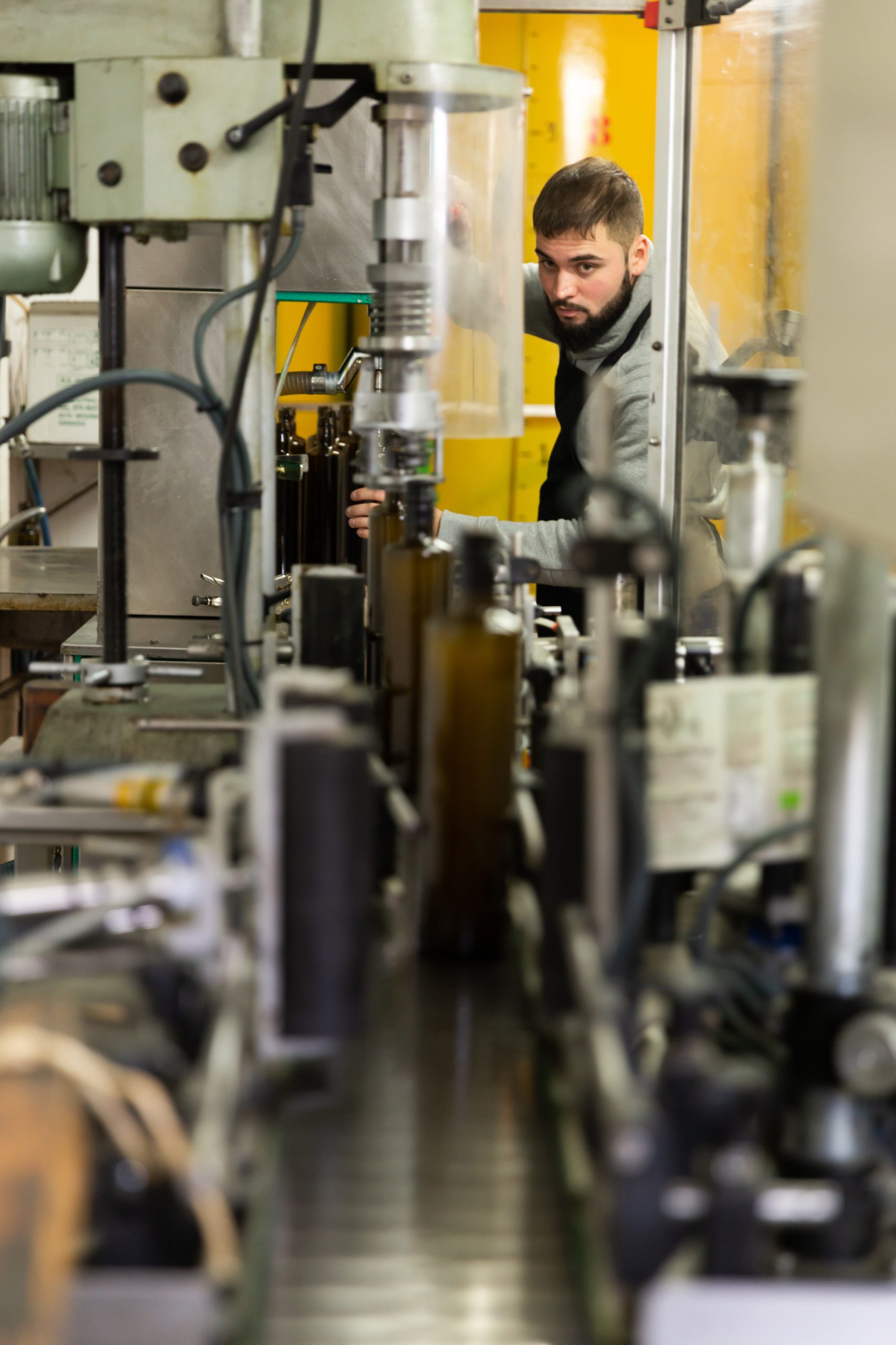Man controlling olive oil bottling machine